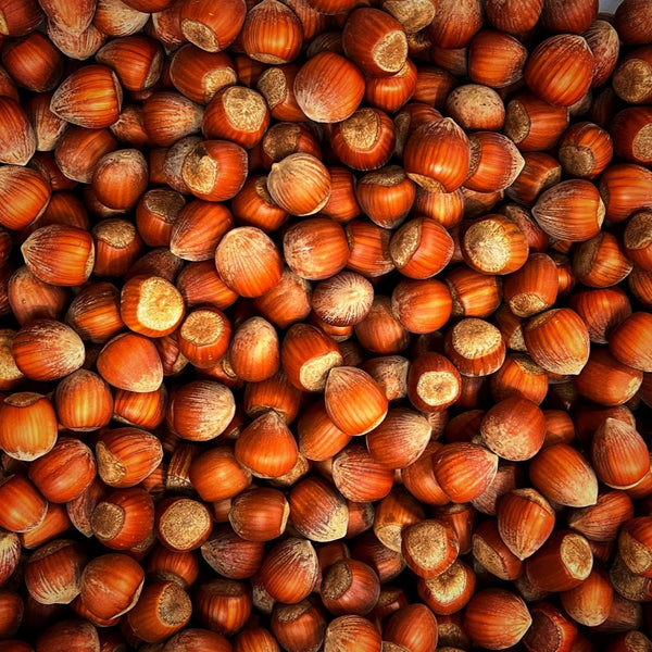 Close-up of a pile of hazelnuts